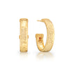 Cleopatra Classic Medium Hoop Earrings - Gold