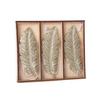 S/3 Resin Feather Ornaments in Wood Gift Box